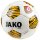Dynamo Dresden Trainingsball Animal