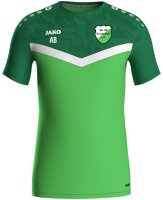 SG 90 Braunsdorf - Trainingsshirt Herren M nein