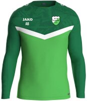 SG 90 Braunsdorf - Trainingspullover Unisex L ja