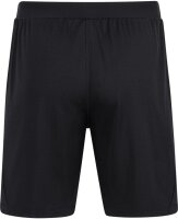 SG 90 Braunsdorf - Trainingshose kurz Herren 4XL ja