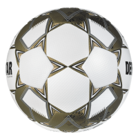 Brillant APS v24