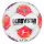 Bundesliga Brillant TT v25