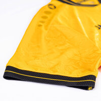 Dynamo Dresden Trikot Home