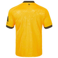 Dynamo Dresden Trikot Home
