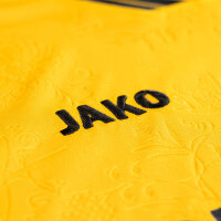 Dynamo Dresden Trikot Home