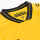 Dynamo Dresden Trikot Home