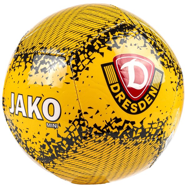 Dynamo Dresden Miniball Perfor