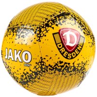 Dynamo Dresden Miniball Perfor