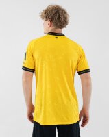 Dynamo Dresden Trikot Home