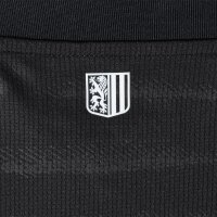 Dynamo Dresden Trikot Away