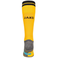 Dynamo Dresden Stutzenstrumpf