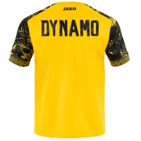 Dynamo Dresden Warm-Up T-Shirt
