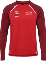 Elsterwerdaer SV 94 Sweatshirt Kinder