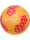 Hummel hmlCLASSIC KIDS HB
