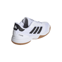 Ligra 8 K