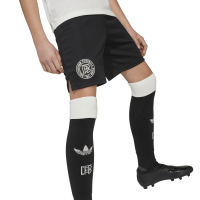 DFB 125 SHO Y